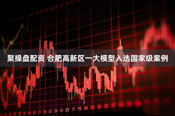 聚操盘配资 合肥高新区一大模型入选国家级案例